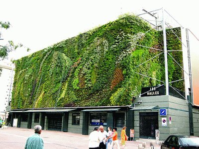 mur végétal les halles